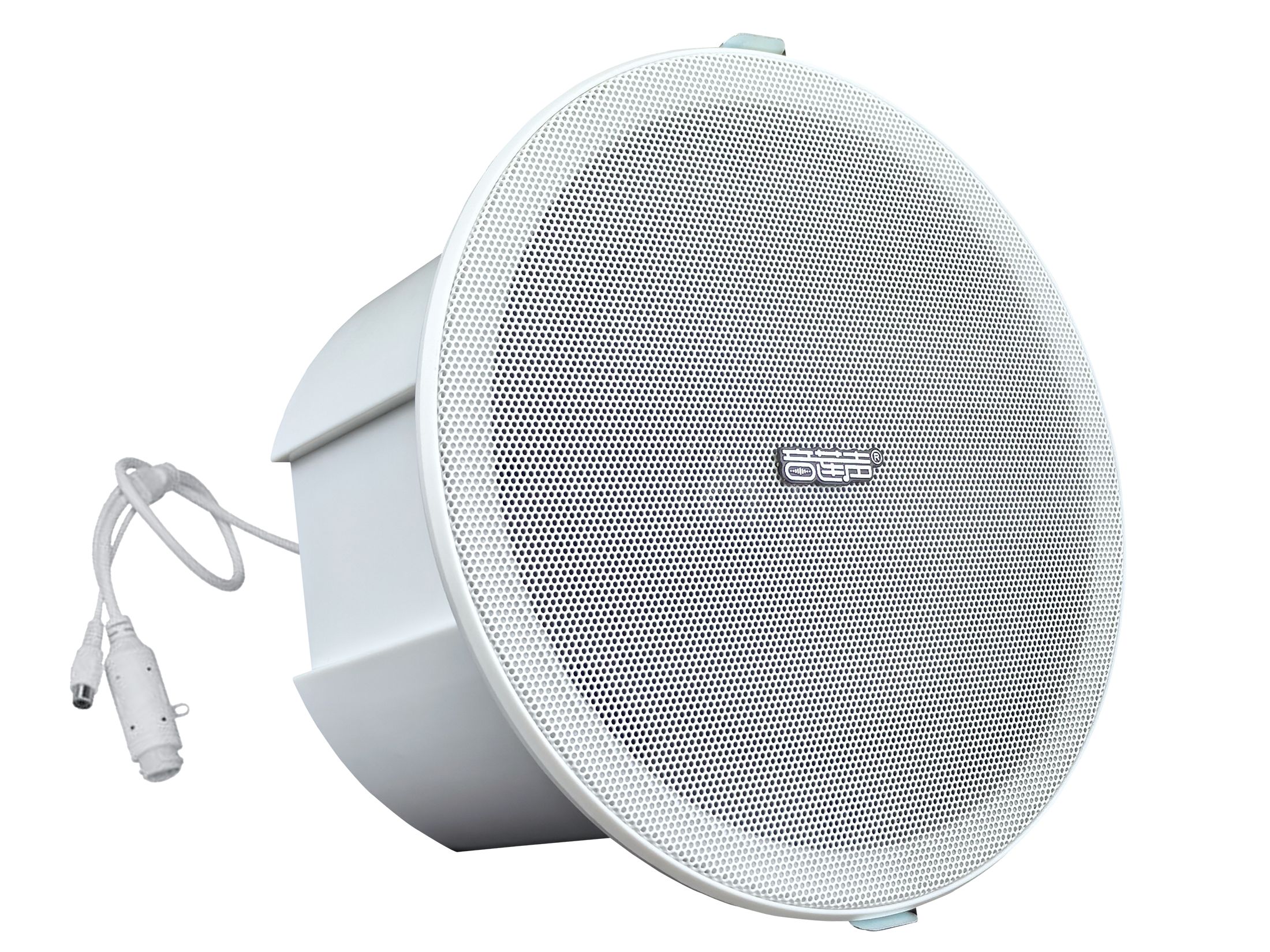 IP网络吸顶音响