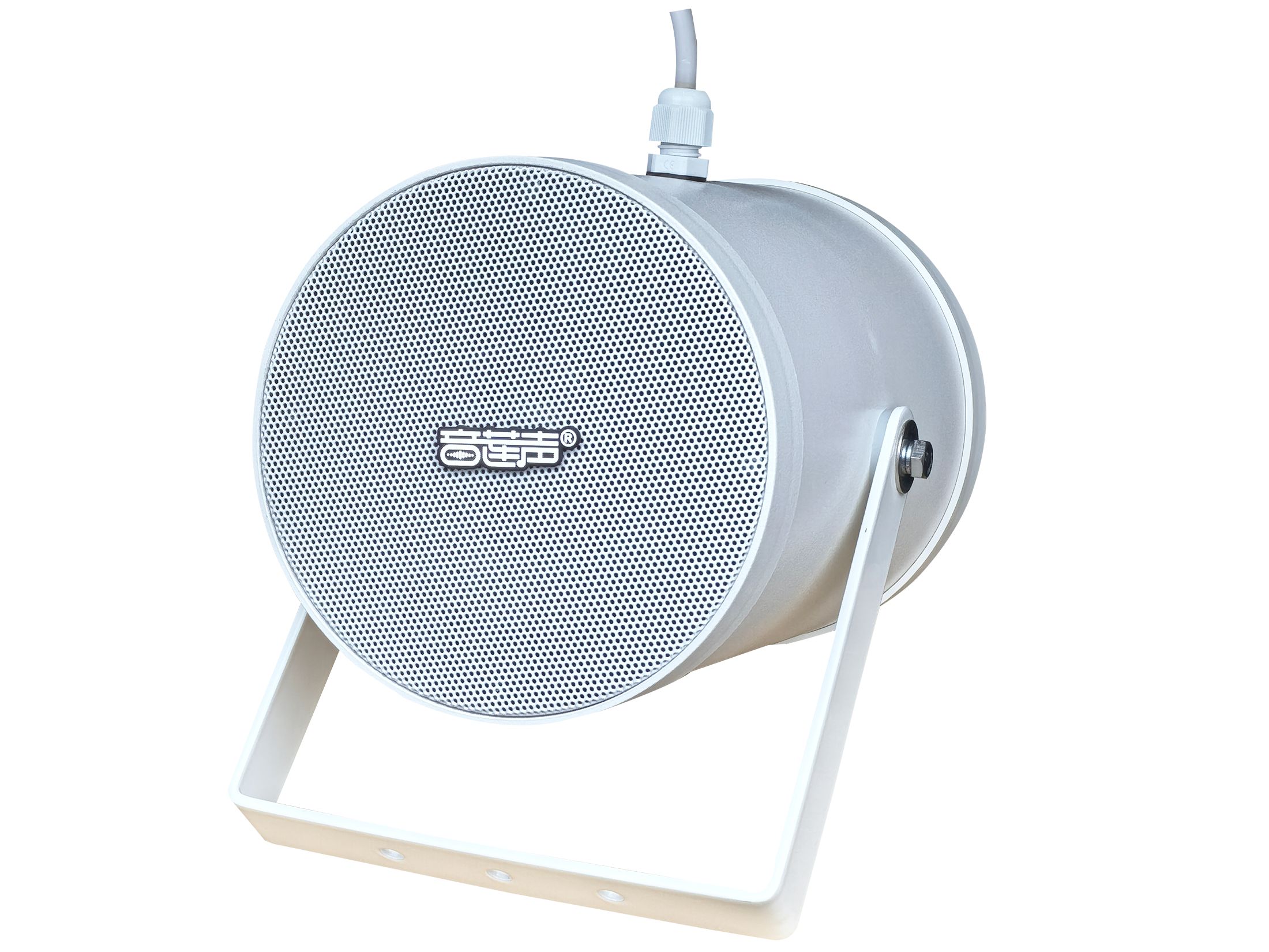 双向性壁挂扬声器